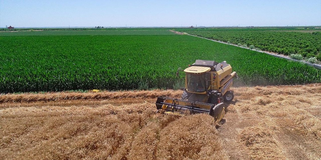 Çiftçilere Bu Yıl İçin Ödenecek Tarımsal Destekler Belirlendi