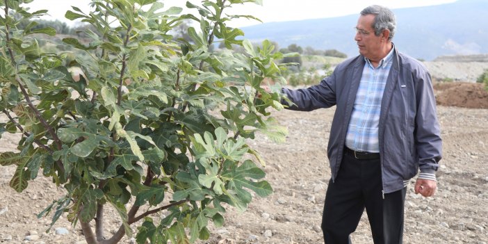 Aydın Büyükşehir'den Buharkent Üreticisine Büyük Destek