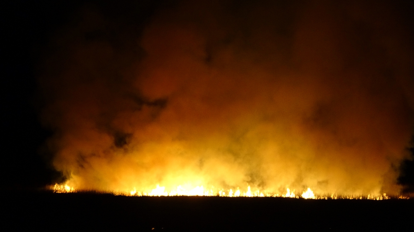 Yüksekova’daki sazlık yangını devam ediyor