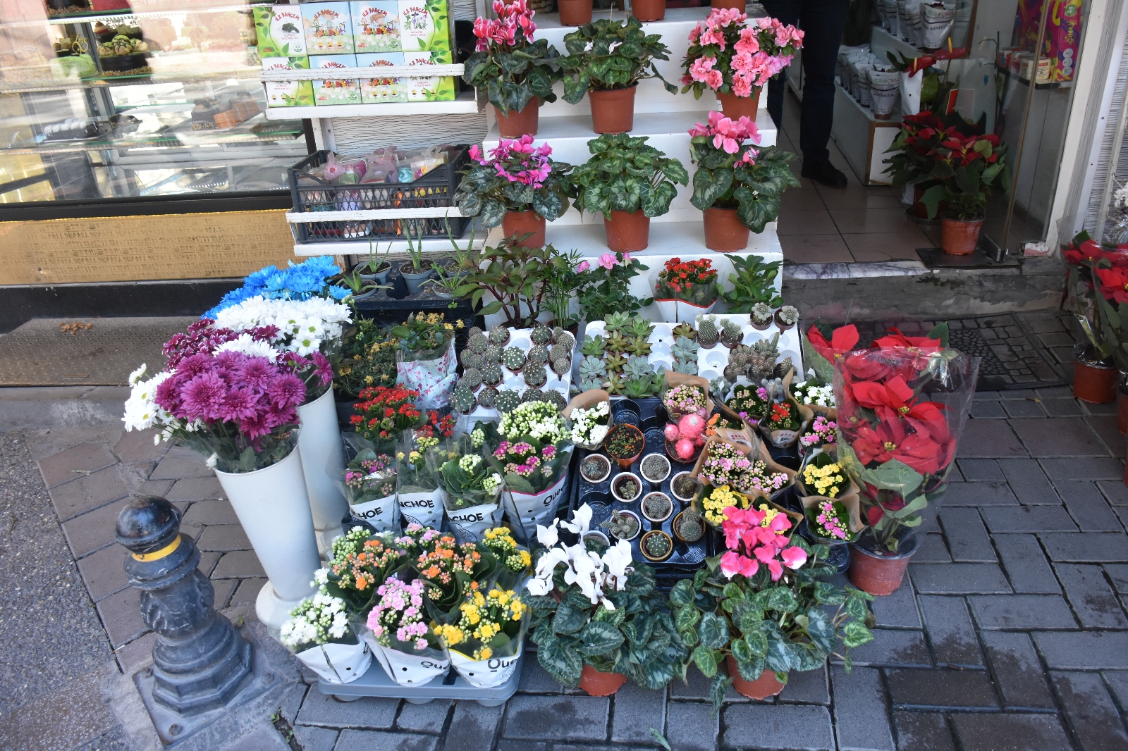 Karanfilin adedi 10 lirayı buldu