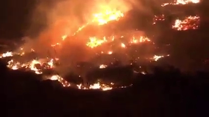 Batı Şeria’da çıkan yangında 50 zeytin ağacı küle döndü
