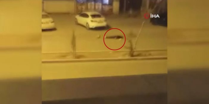 Nusaybin’de silahlı, sopalı kavga: 1 yaralı