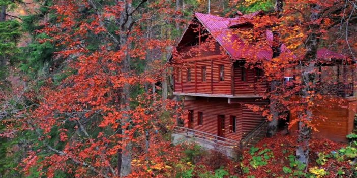 Avrupa’nın 100 orman sıcak noktasından biri olan Yenice ormanlarında kartpostallık görüntüler