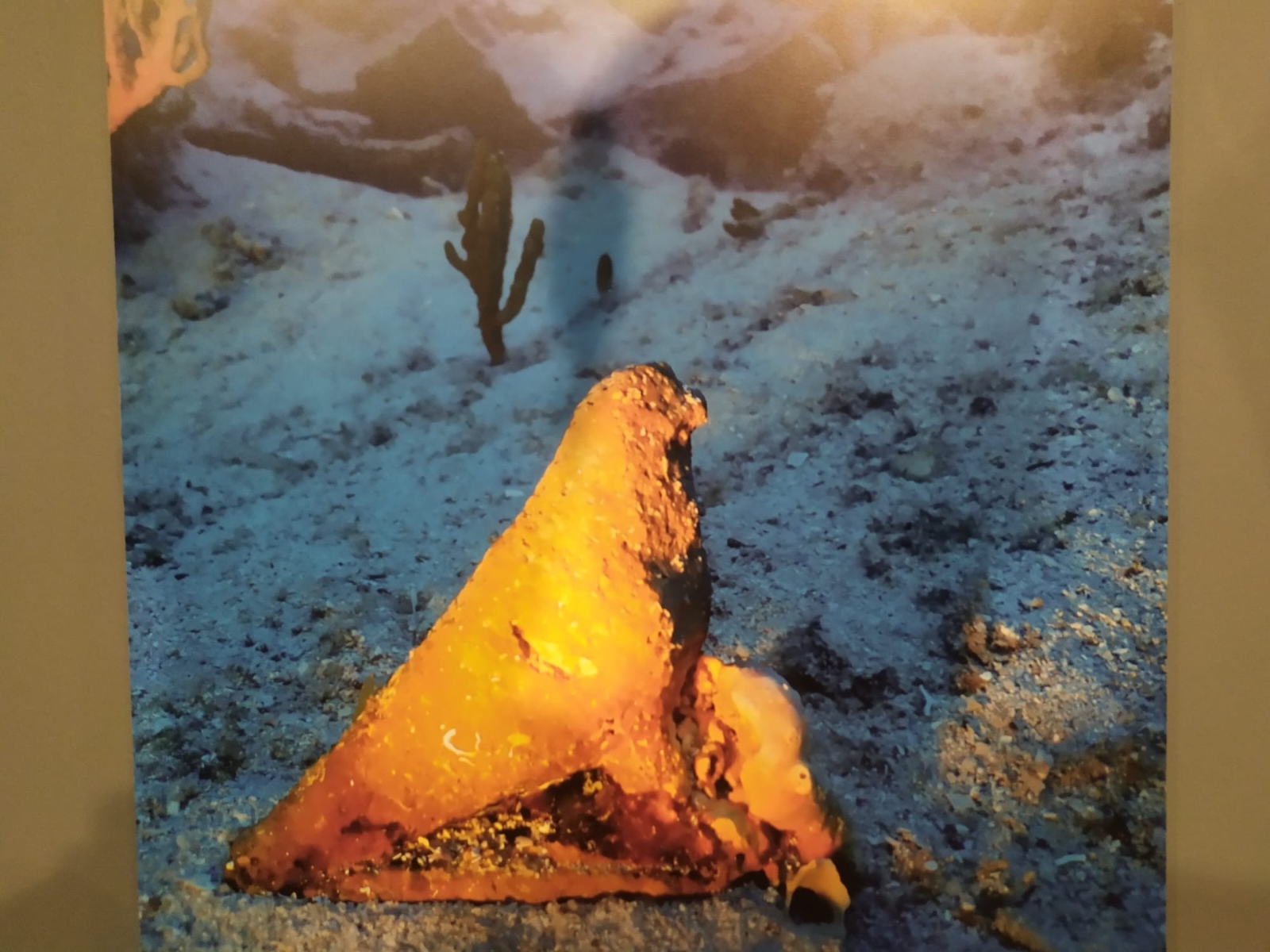 Bakan Ersoy: “İnsanlık Tarihinin Denizlerdeki 4 Bin Yıllık Sürecini Bu Kıyılarda Görme Şansına Sahibiz”