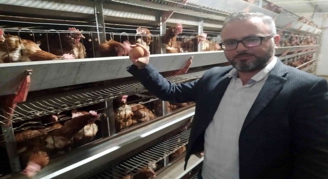 Yumurta Üreticileri Tedbir Alınmazsa Batacak