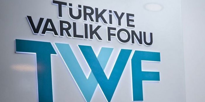 Türkiye Varlık Fonu Borçlarında Büyük Artış