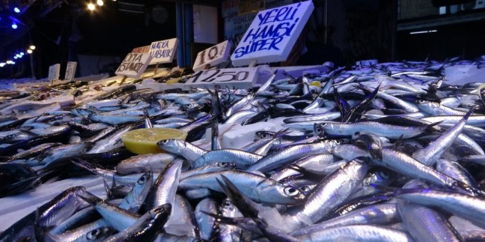 Hamsi vatandaşın da balıkçının da yüzünü güldürüyor