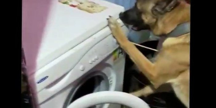 Bursa’da 100 bin kişiyi zehirleyecek miktarda uyuşturucu ele geçirildi