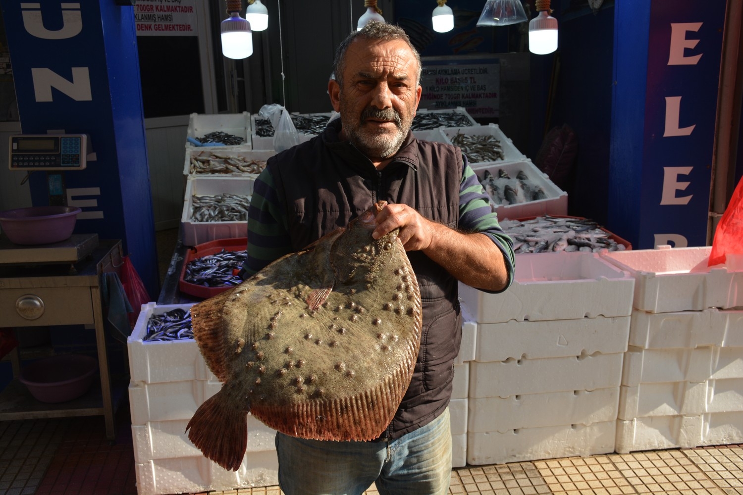 Kalkan Balığı Altınla Yarışıyor: Kilosu 250 Lira