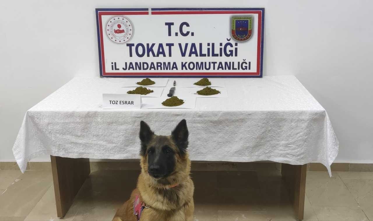 Tokat’ta Tarihi Eser, Sahte İçki Ve Uyuşturucu Operasyonu: 21 Gözaltı
