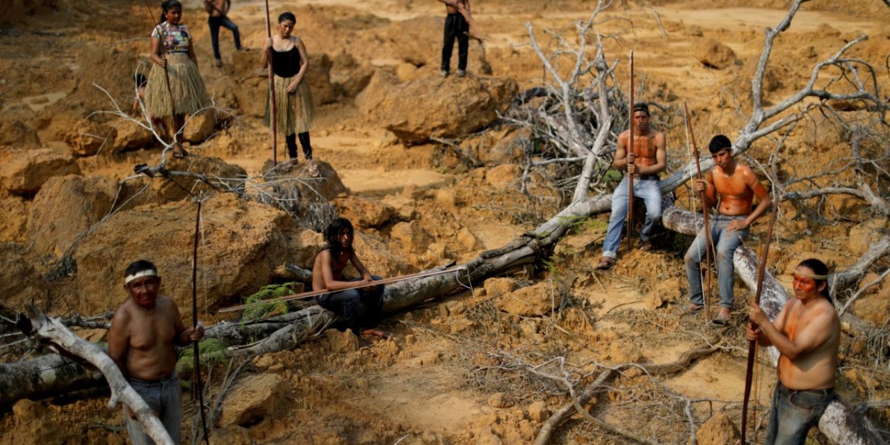 Son 15 yılın en büyük orman kaybı yaşandı