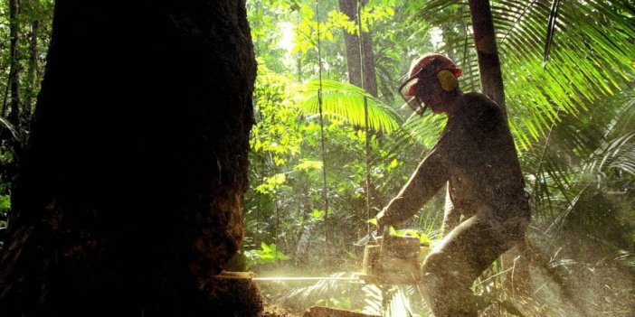 Amazonlar’da ormansızlaşma son 15 yılın en kötü seviyesinde