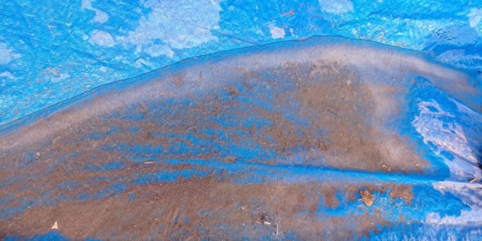 Doğu’nun Çukurova’sı dondu