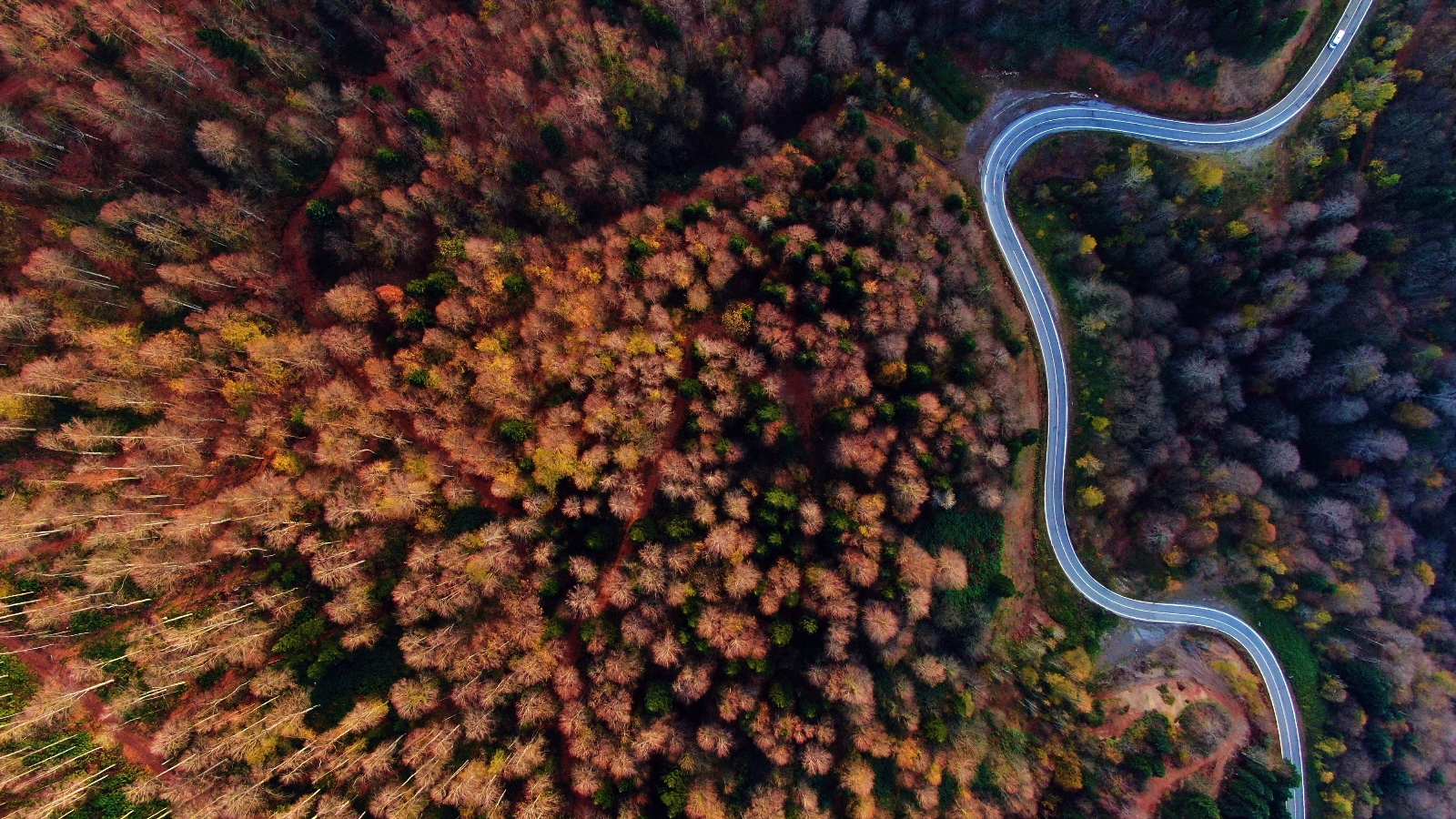 Sonbaharın doğaya yansıyan tonları büyüledi