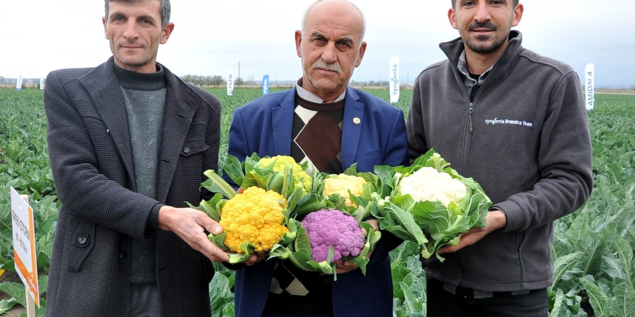 Karnabaharlar renklendi, talebe yetişemiyorlar