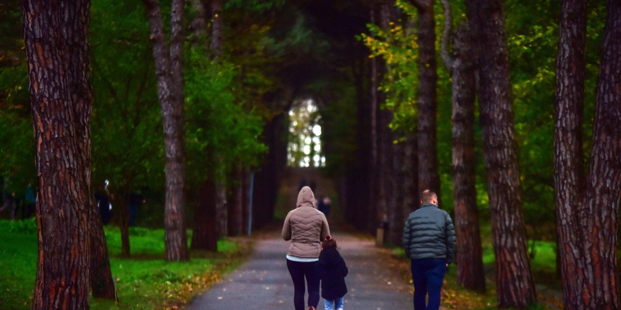 Atatürk Arboretumu’nda renk cümbüşü