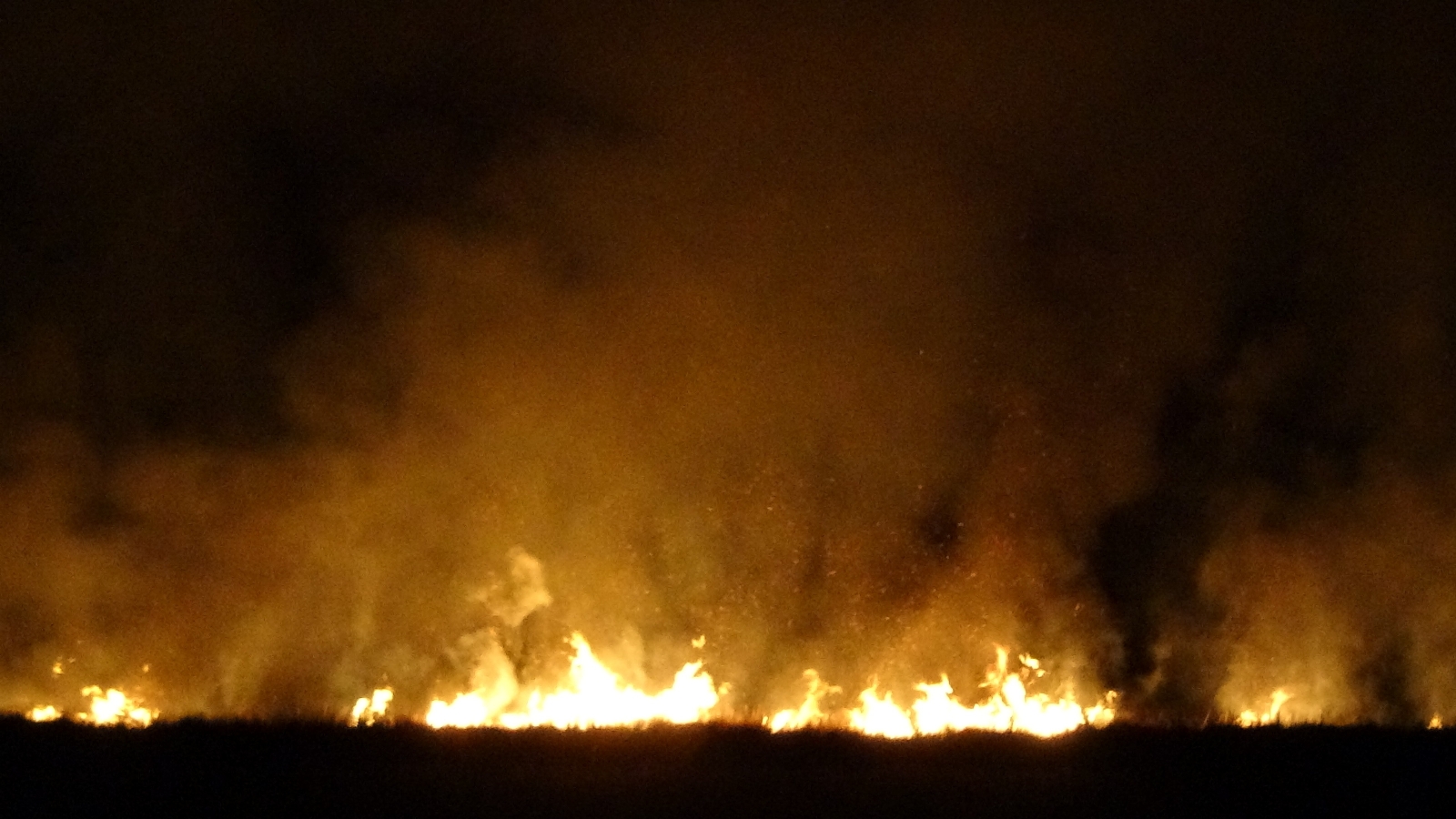 Yüksekova’da Nehil Sazlığı tekrar alev aldı