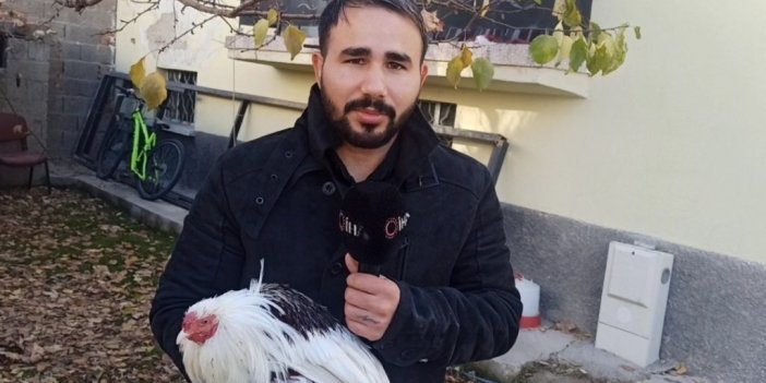 Japonya’dan getirilen kayıp horoz 3 günlük arama çalışması sonucu bulundu