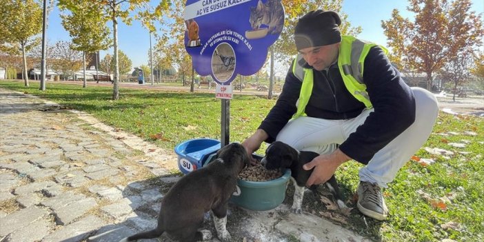 Hayvan Dostu Belediye Sokaklardan Mama Ve Suyu Eksik Etmiyor