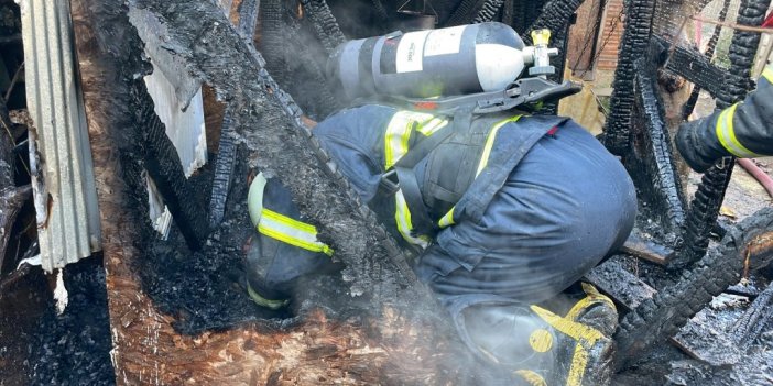 Barakada yangın çıktı, 11 köpek telef oldu
