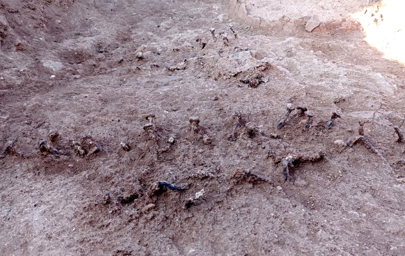 Roma Döneminden Kalma Kapı Çivileri Bulundu