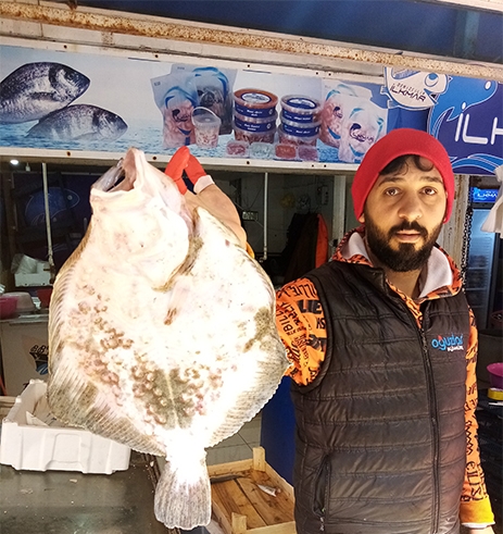 Balıkçıların ağına takıldı 900 Liraya satışa çıktı