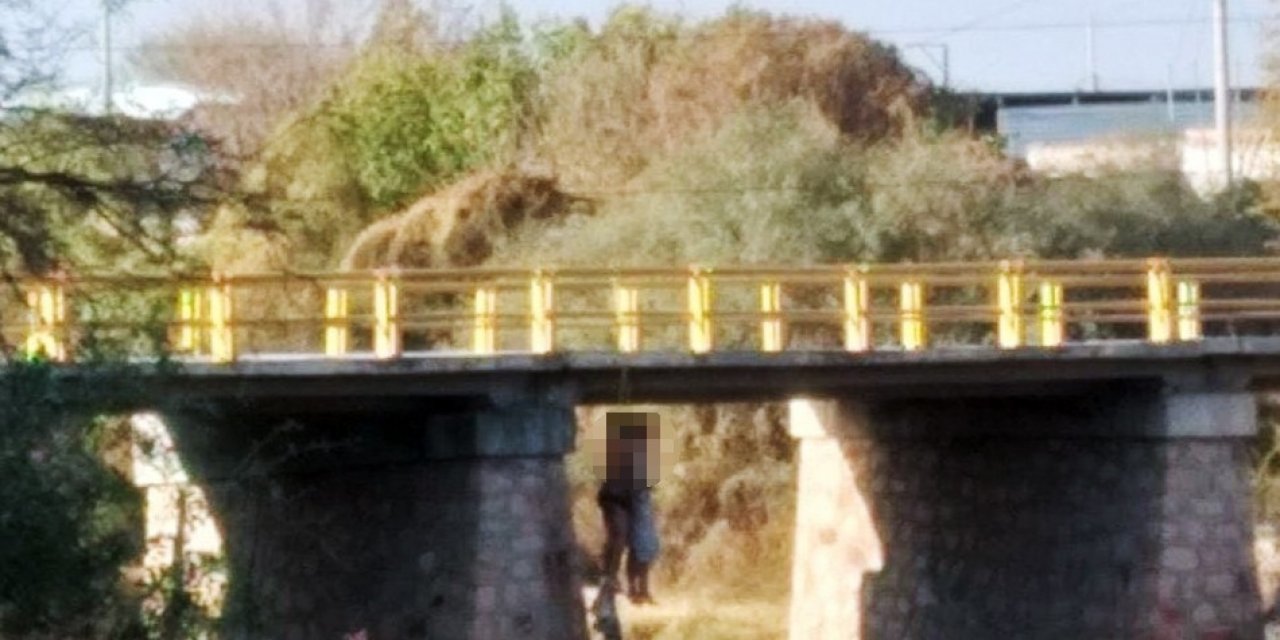 Meksika’da asılı halde 8 ceset tespit edildi