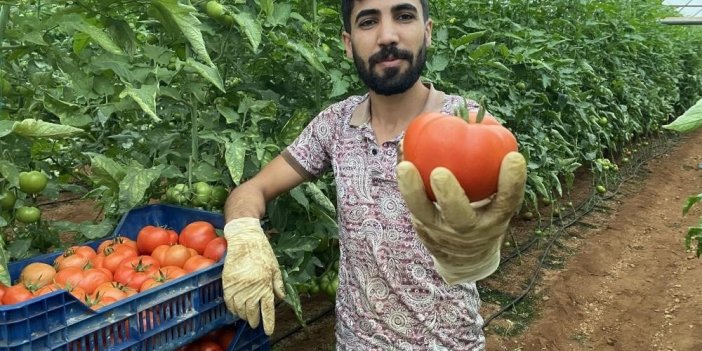 Örtü altı tarımın üssü Antalya’da son 5 yılda çiftçi sayısı 20 bin arttı