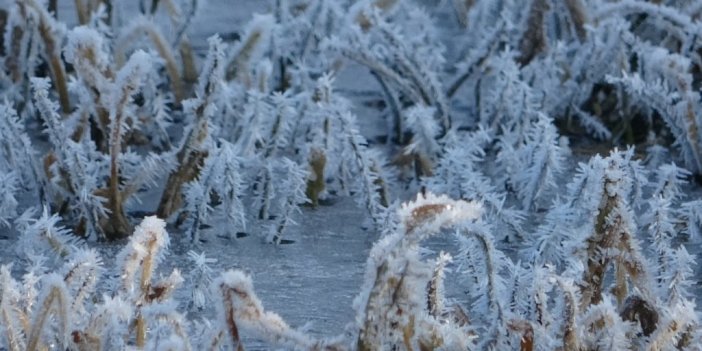 Göle eksi 10’u gördü