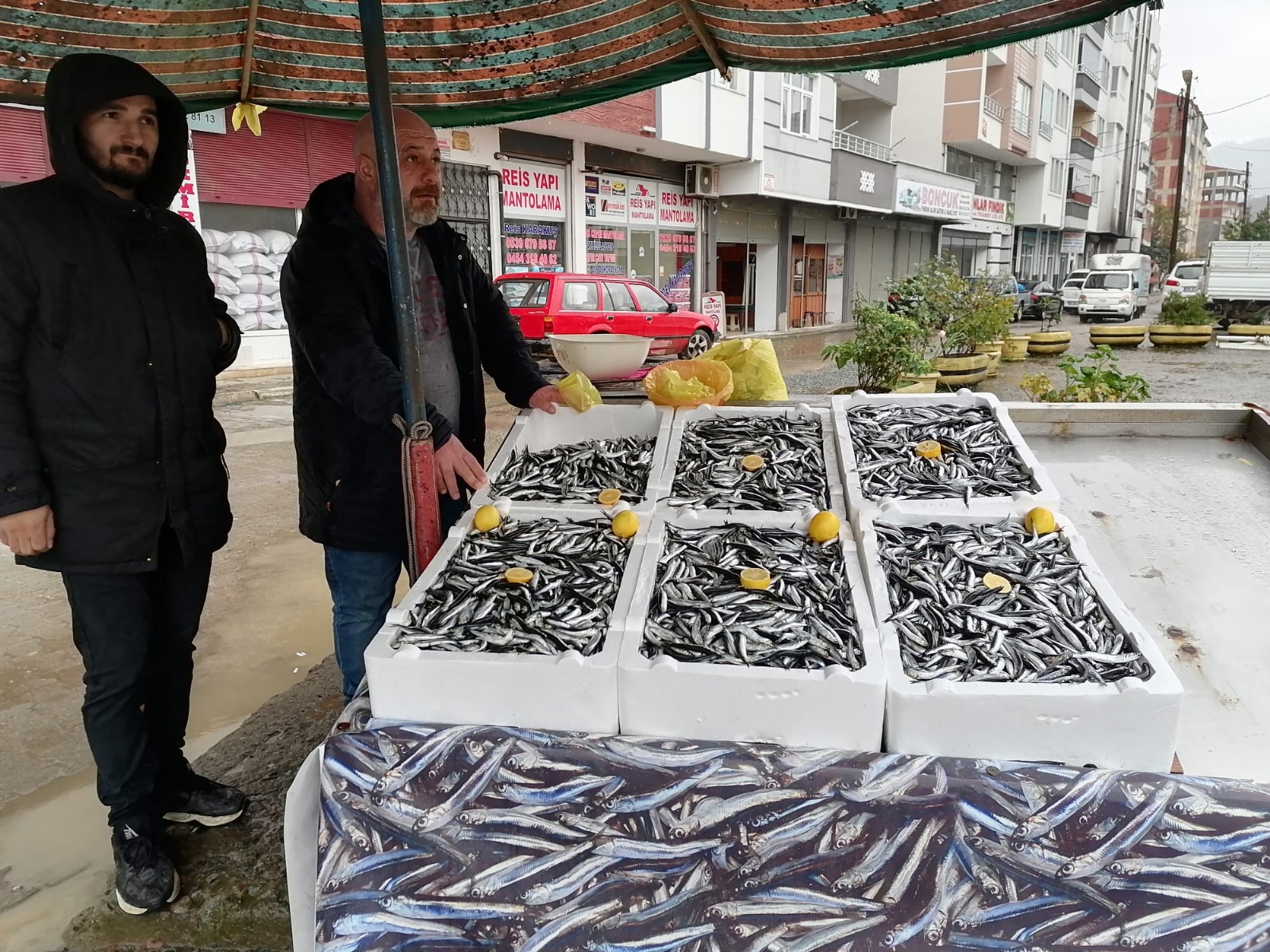 Hava koşulları hamsiyi etkiledi