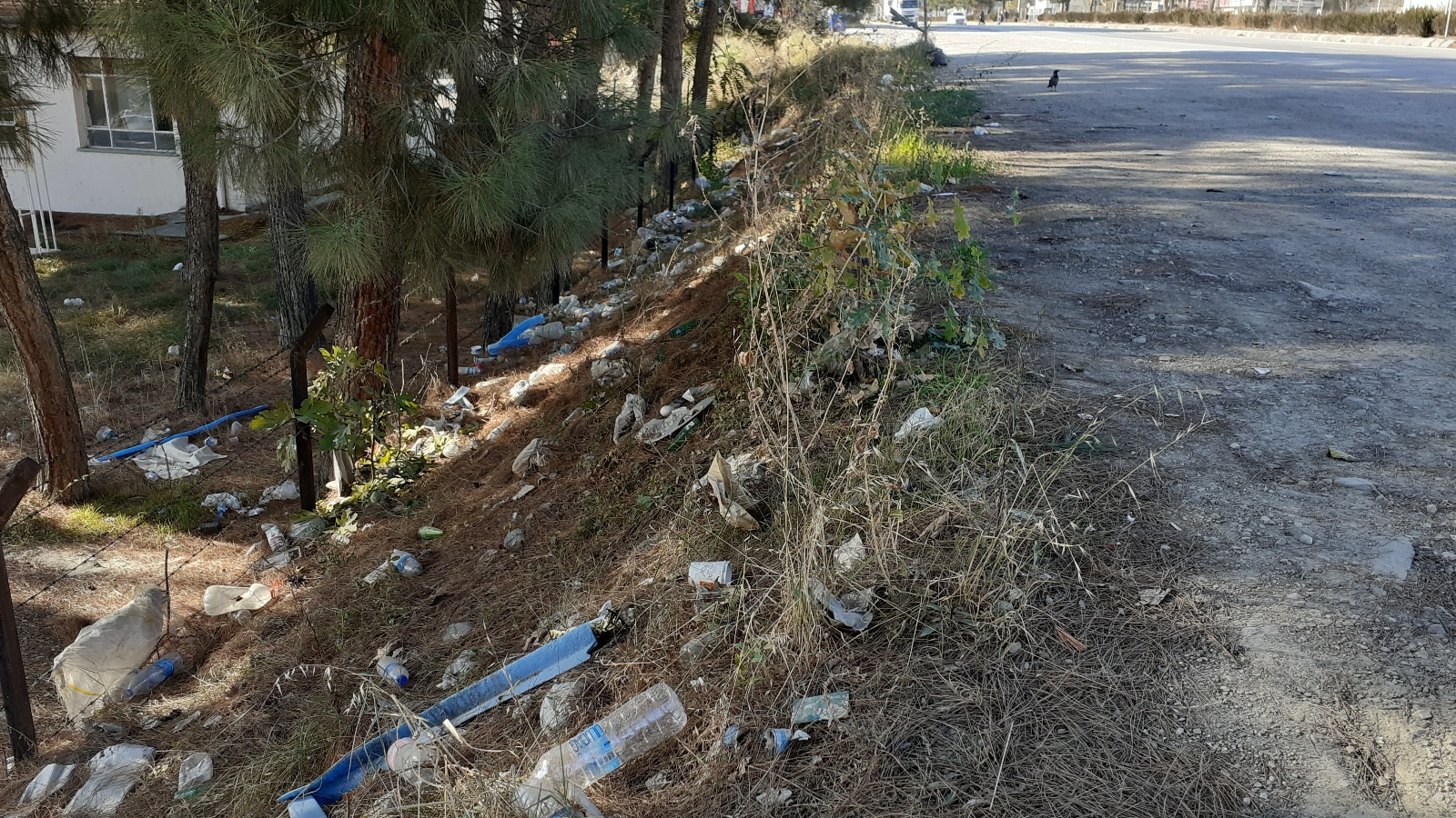 D100 karayolu kenarındaki atıklar ilçe halkını çileden çıkartıyor