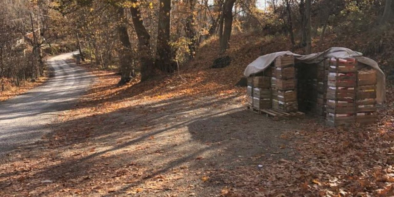Karaman'da çaldığı elmaları satmaya götüren kişi yakalandı