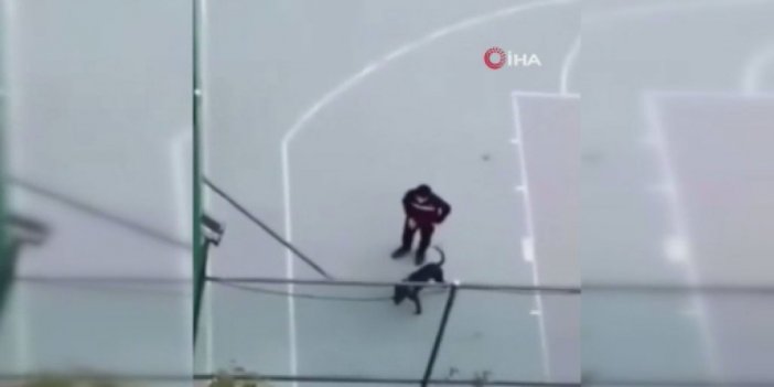 Pitbull cinsi köpeğiyle arkadaşına dehşeti yaşattı: Çocuk korkudan potaya çıktı