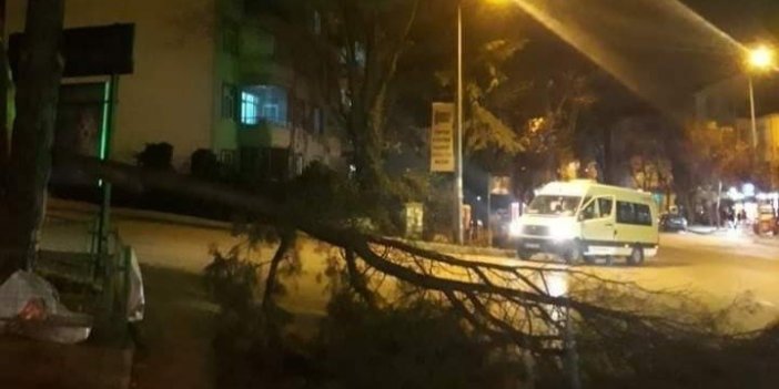 Bursa’da lodos hayatı felç etti: Binanın duvarı yıkıldı, ağaçlar yolları kapattı