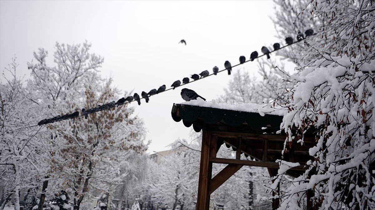 Doğu Anadolu'da En Düşük Sıcaklık Sıfırın Altında 6 Dereceyle Ardahan'da Ölçüldü