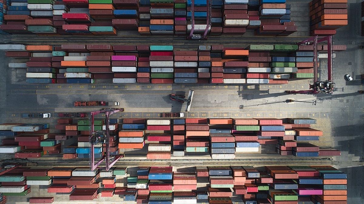 Odun Dışı Orman Ürünlerinde 2023'te 2 Milyar Dolarlık İhracat Hedefleniyor