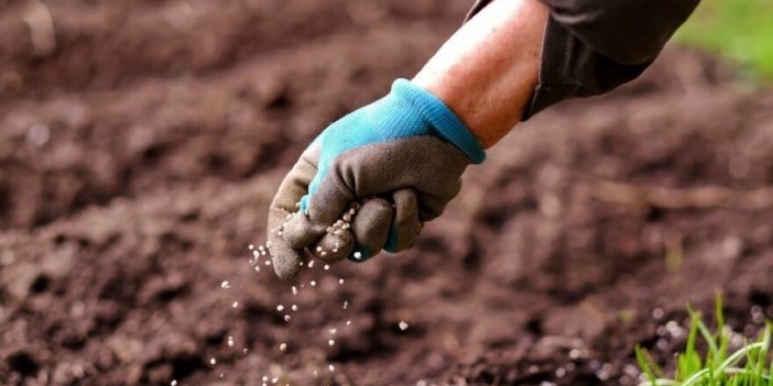 Gübre kıtlığı gıda krizini tetikleyebilir