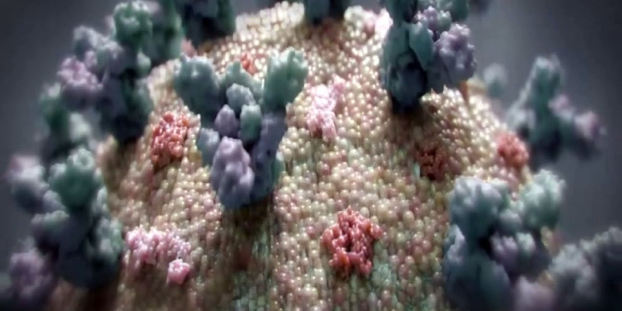 Güney Afrika’dan seyahat kısıtlamalarının “acilen” kaldırılması çağrısı