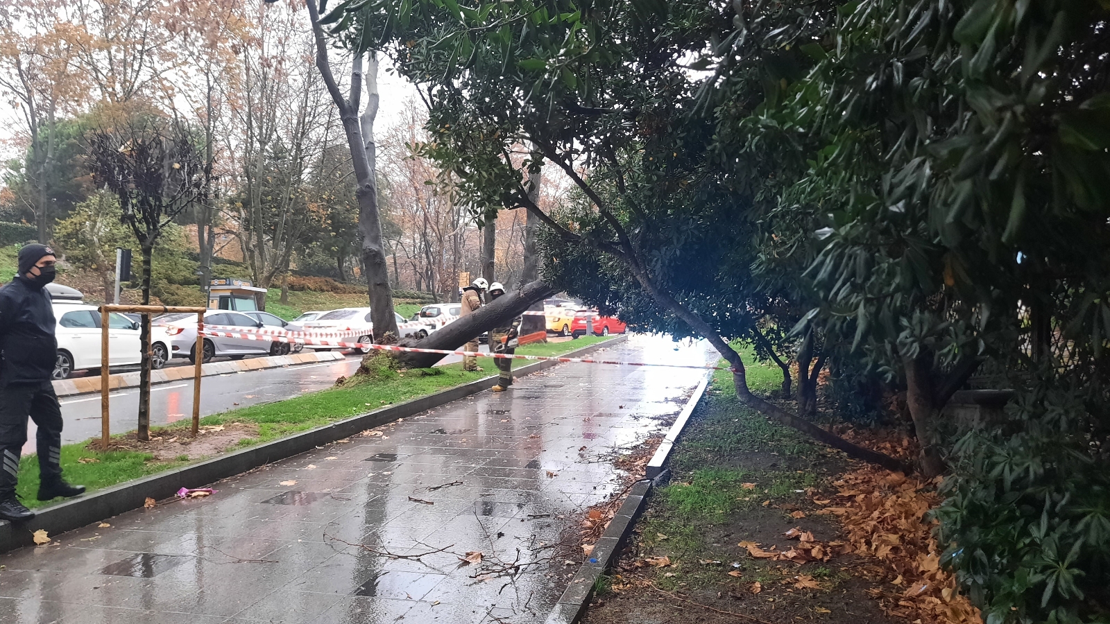 Maçka Parkı girişinde ağaç devrildi: Trafik durma noktasına geldi