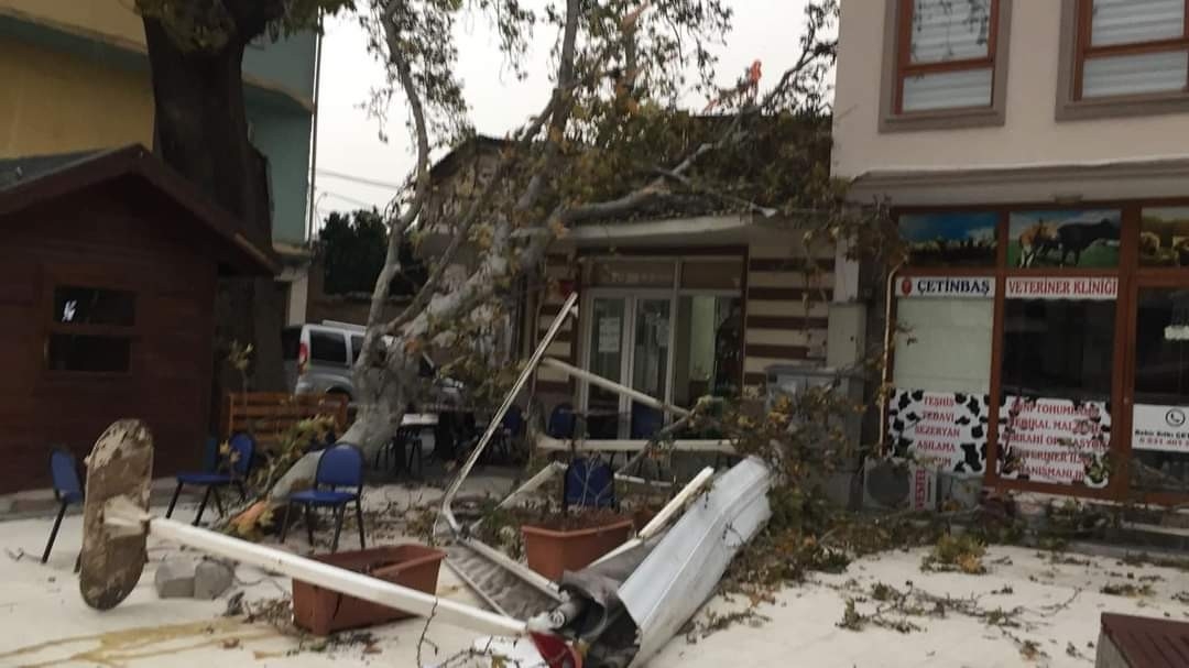 Lodosun hızı 100 kilometreyi geçti, yüz yıllık ağaçlar devrildi