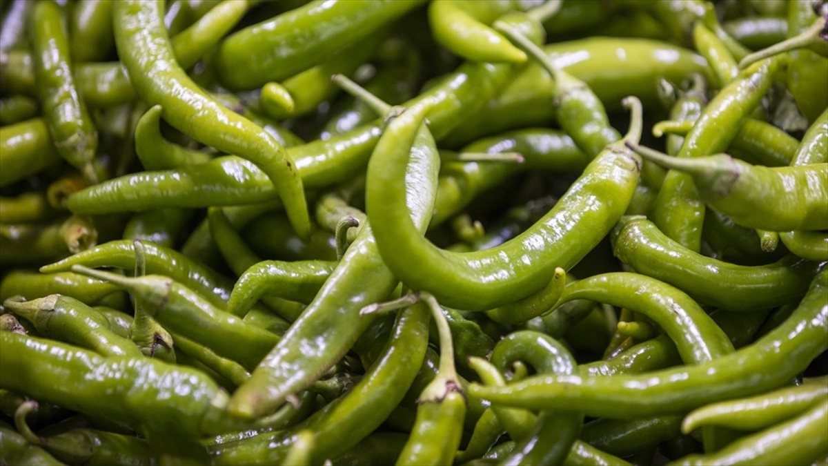 Kasımda En Çok Sivri Biber Fiyatı Arttı