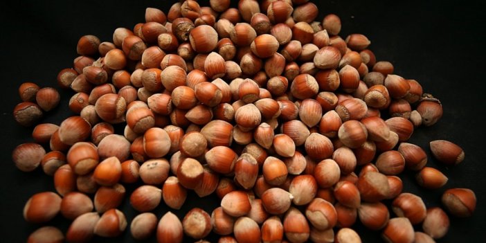 Tarım Sektörü İhracat Rekorunu 3 Milyar Dolara Taşıdı