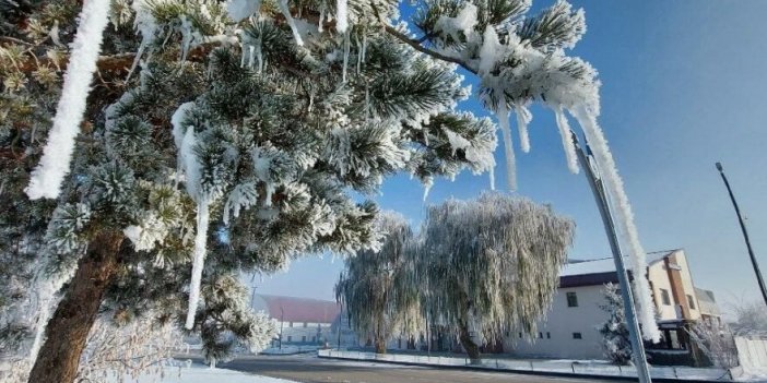 Doğu Anadolu buz kesti
