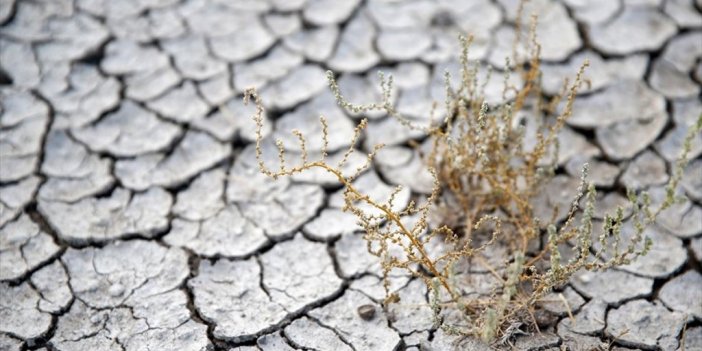 Erozyon Ve Kuraklıkla Mücadelede 'dijital' Dönem