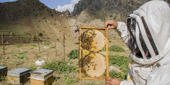 2021 Yılı Hayvancılık Desteklemelerinin Uygulama Usul Ve Esasları Belli Oldu