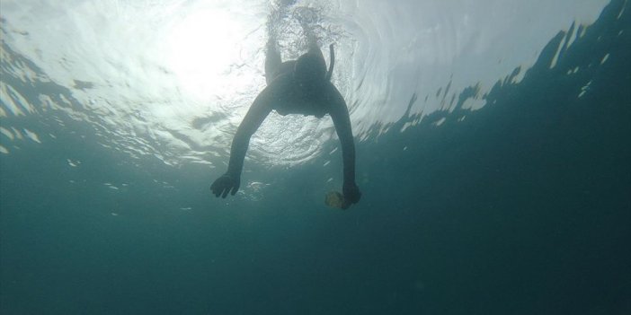 Akdeniz'de Artan Mikroplastikler Hem Deniz Canlılarını Hem İnsanları Tehdit Ediyor