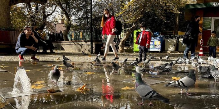 Türkiye'de Son 50 Yılın En Sıcak Dördüncü Kasım Ayı Yaşandı