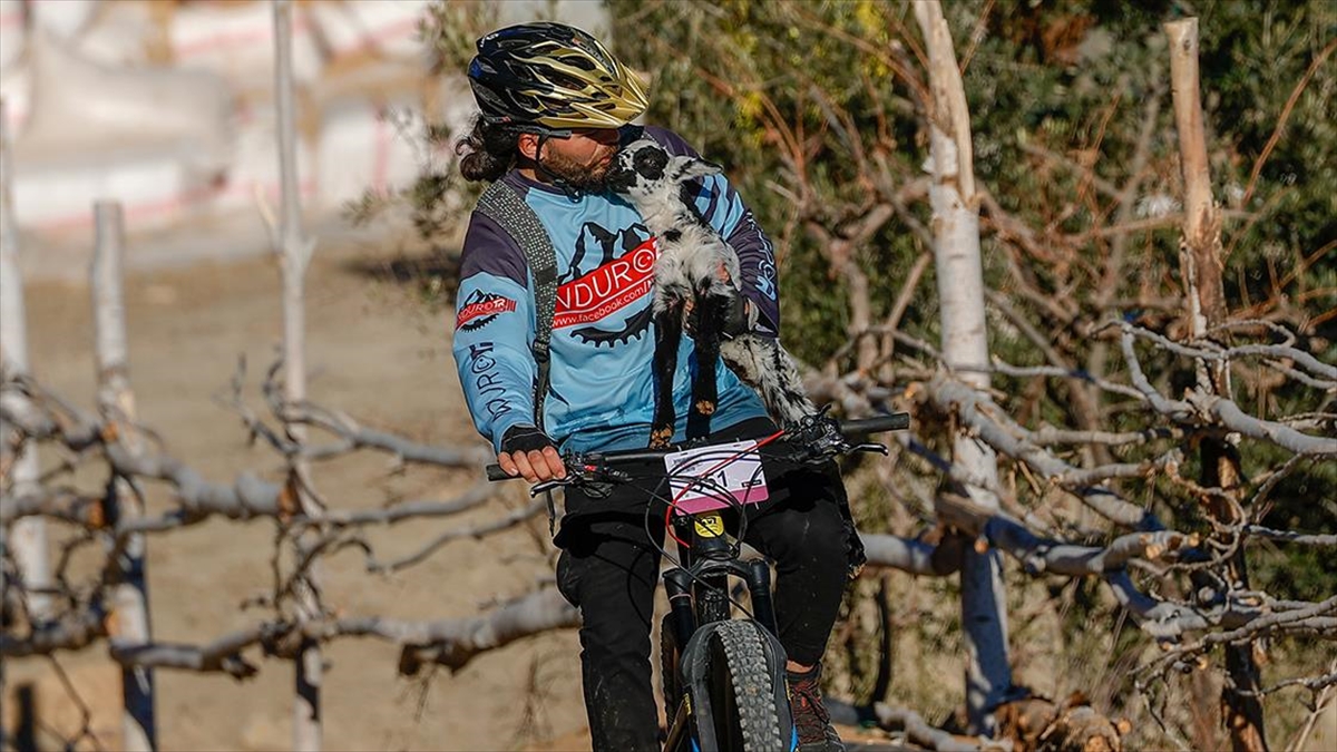 Şampiyon Sporcu Yerleştiği Yaylanın 'Bisikletli Sosyete Çoban'ı Oldu