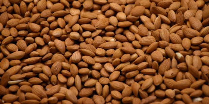 Tescilli Kayısı Çekirdeği İhracatından 11 Ayda 14,9 Milyon Dolar Gelir Sağlandı