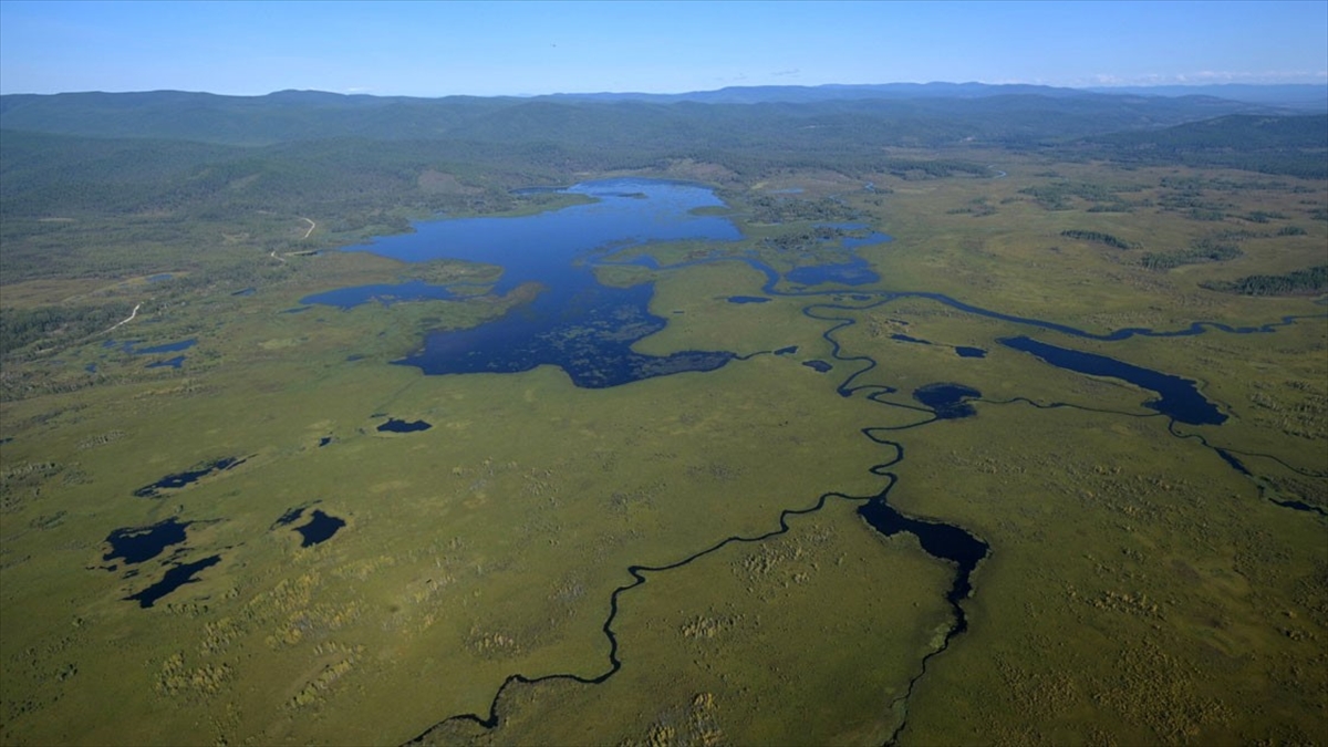 BM, Sibirya'da Kaydedilen Rekor Sıcaklığı Onayladı